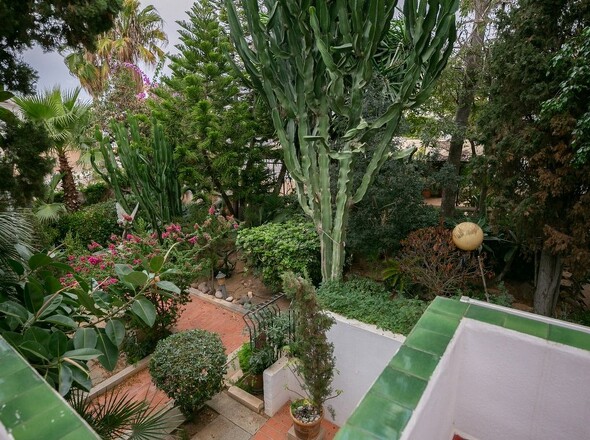 panorama-scouting-H071023-42