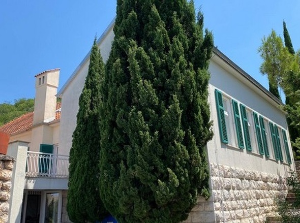 panorama-scouting-H3033-15