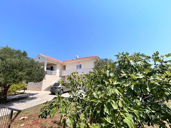 panorama-scouting-H3053-46