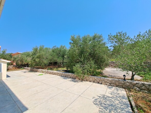 panorama-scouting-H3053-19