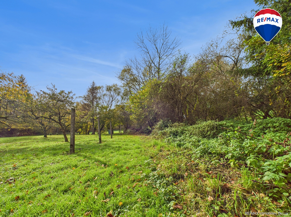 REMAX Immobilien DeLux Einfamilienhau Garten Ballweiler Mark Borowicz