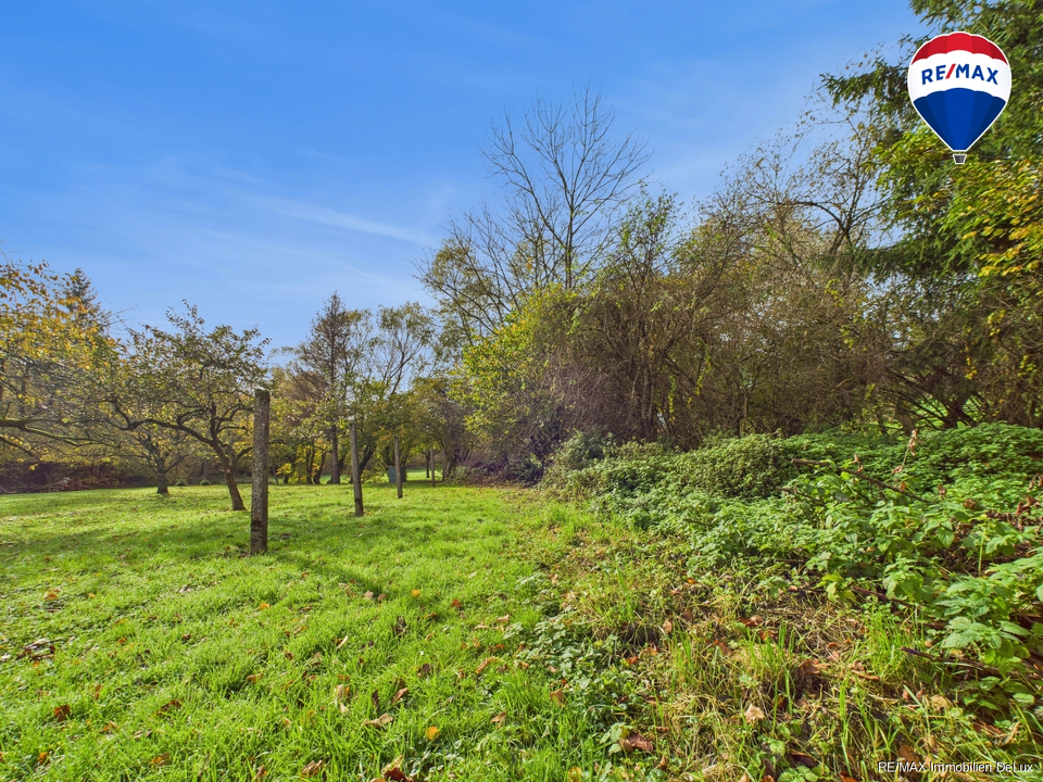 REMAX Immobilien DeLux Einfamilienhau Garten Ballweiler Mark Borowicz