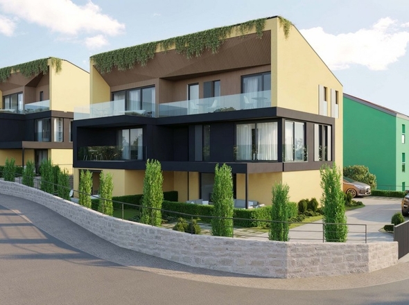 panorama-scouting-A3269-6