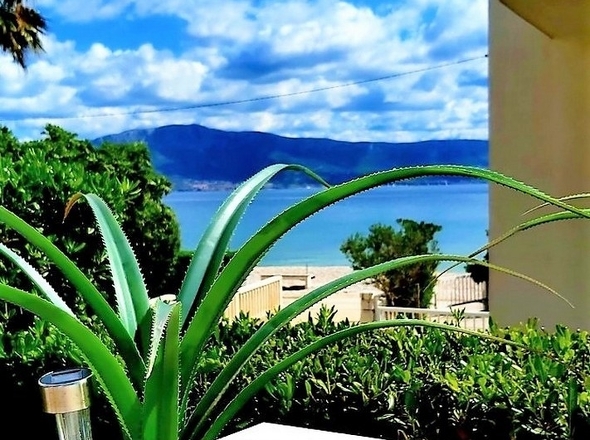 Panorama Scouting - H2984_20