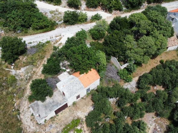 Panorama-Scouting-G452_5