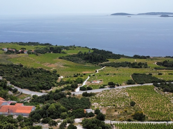 Panorama-Scouting-G452_3