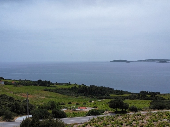 Panorama-Scouting-G452_6