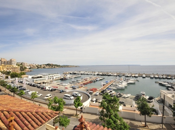 panorama-scouting-H071016-2