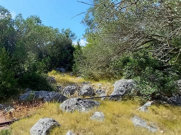 panorama-scouting-H2742-9