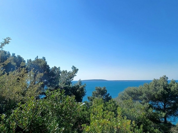 Panorama Scouting - H2919_14