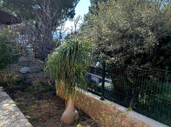 Panorama Scouting - H2919_6