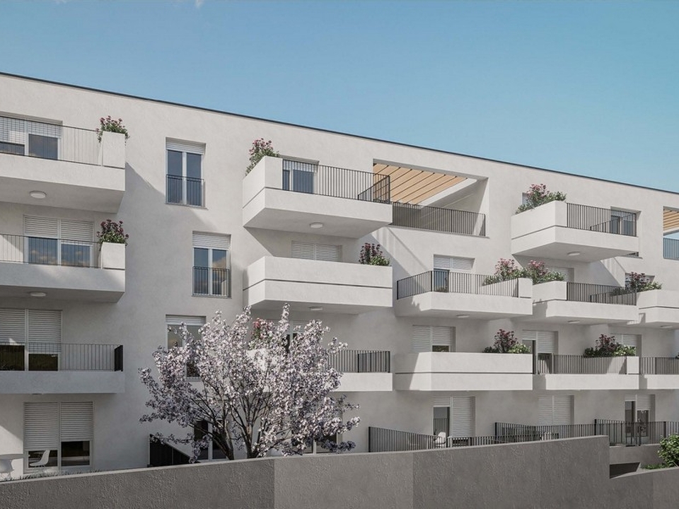 Panorama Scouting - A3230_7