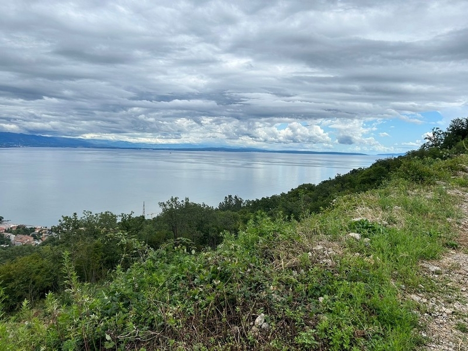 panorama-scouting-G445-1