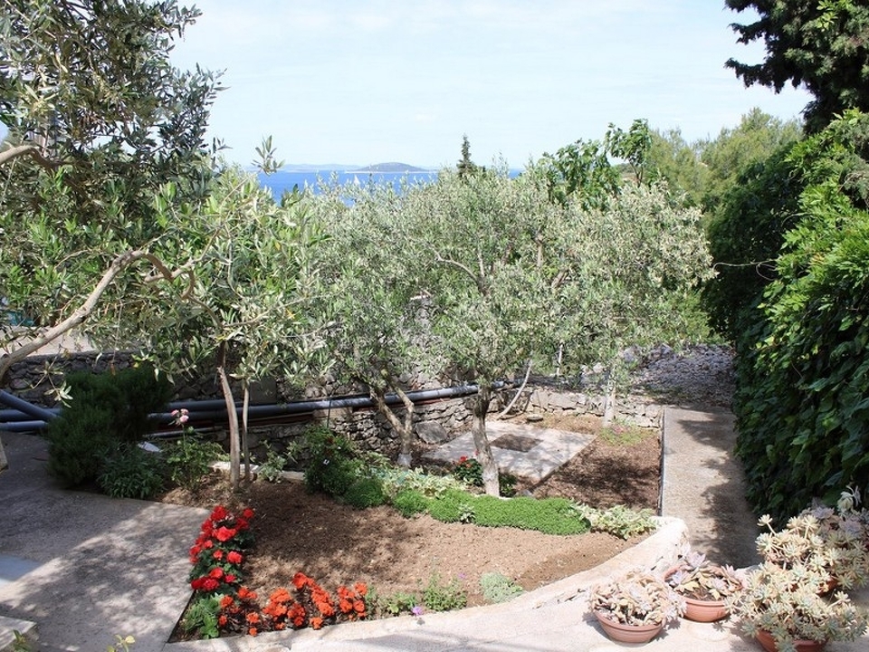 Panorama Scouting - H2997_25