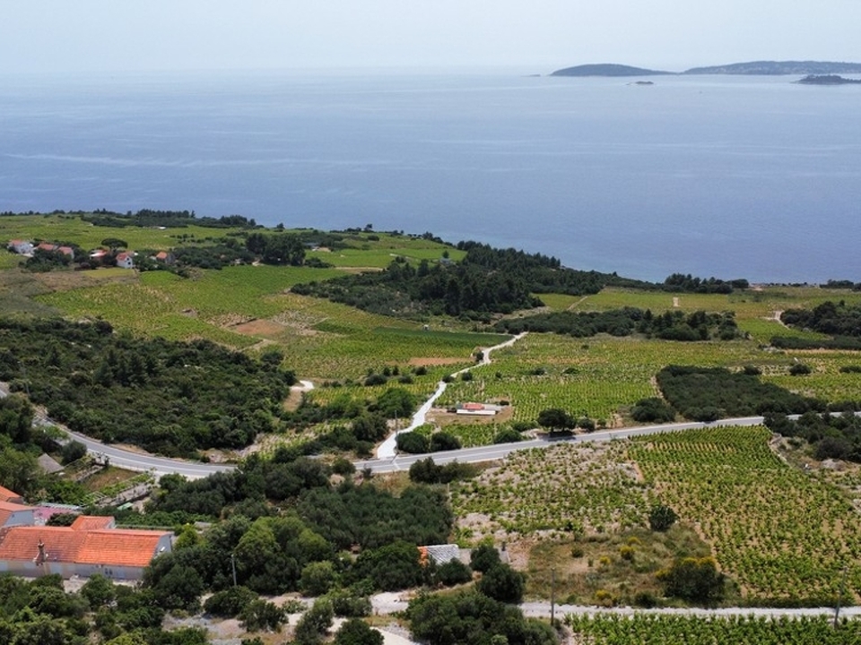 Panorama-Scouting-G452_3