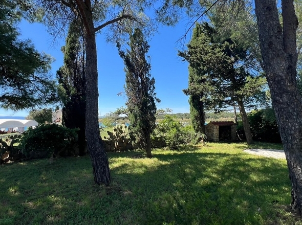 panorama-scouting-H3004-23