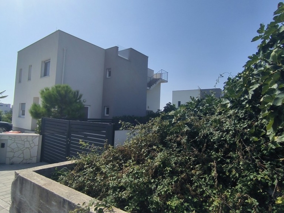 panorama-scouting-H3447-29