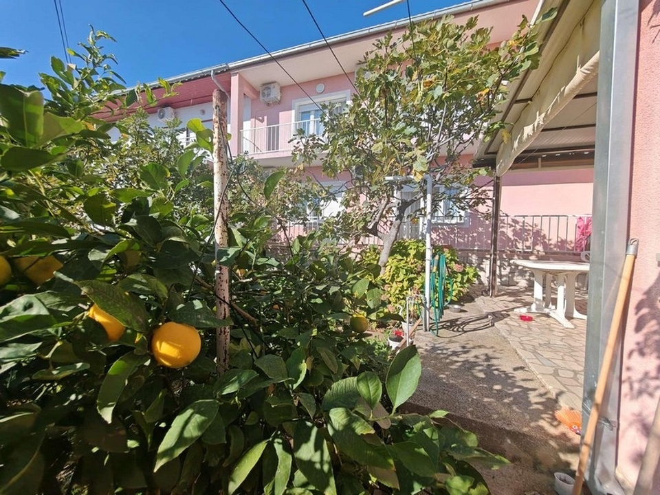 panorama-scouting-H3452-23