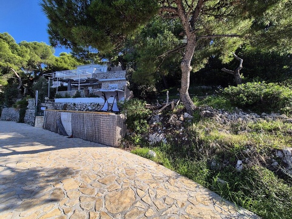 panorama-scouting-H3454-45