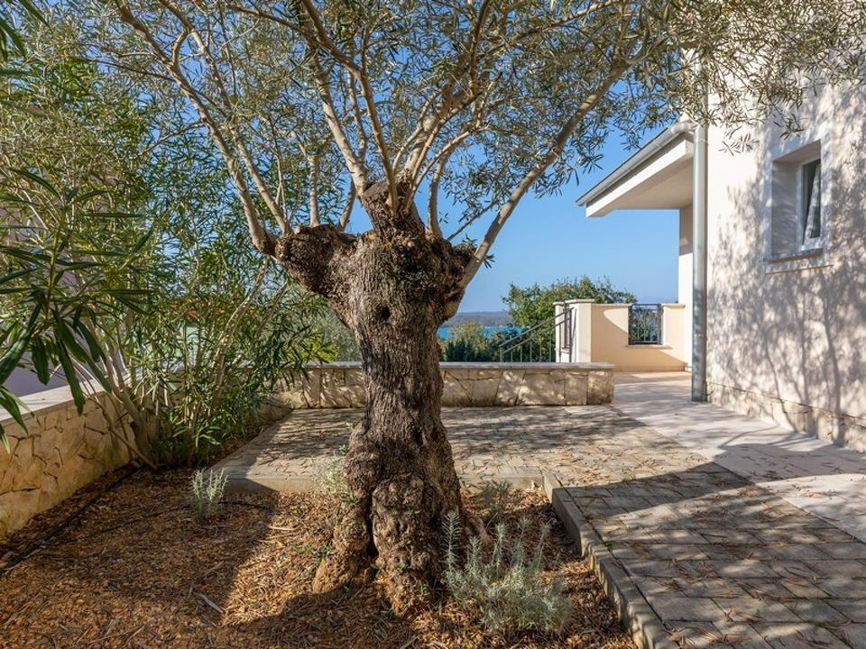 panorama-scouting-H3481-3