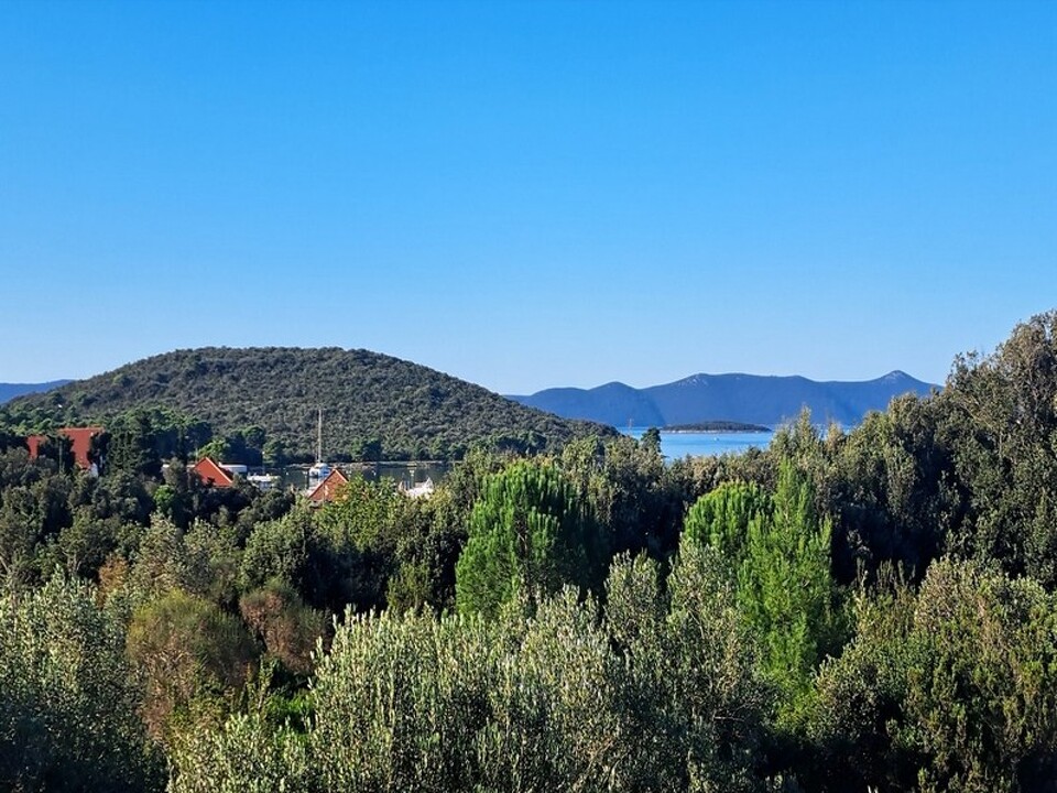 panorama-scouting-H3502-33