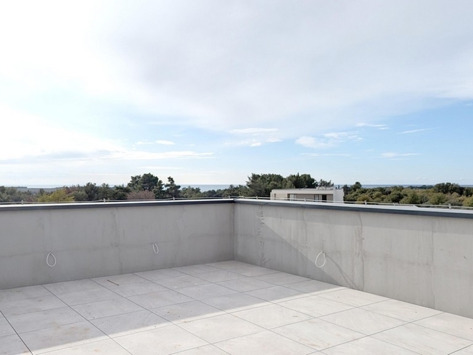 panorama-scouting-A3536-4