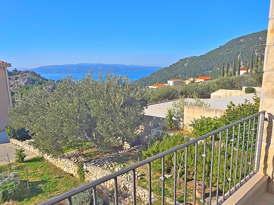 panorama-scouting-H3514-51