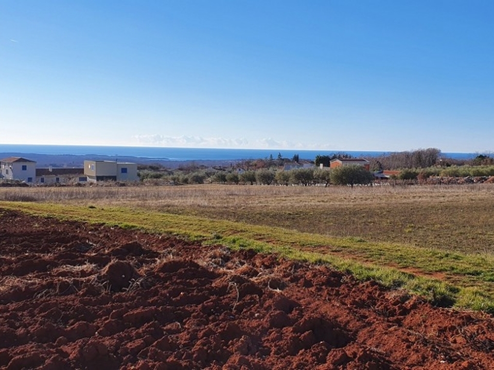 panorama-scouting-G461-9