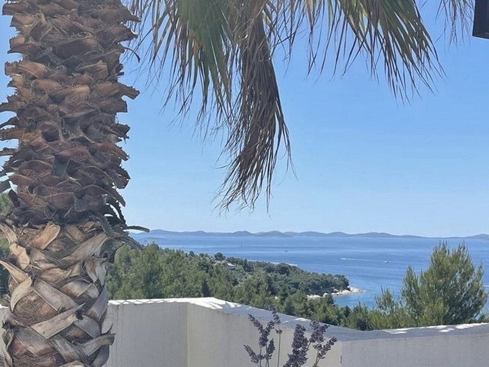 panorama-scouting-A3550-13