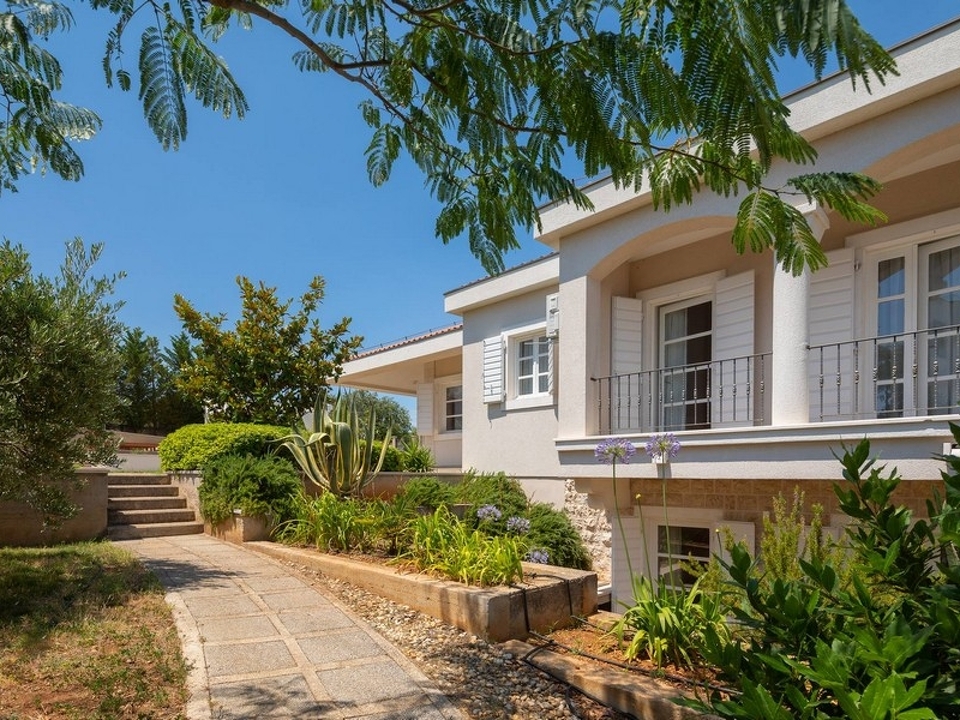 panorama-scouting-H3770-4