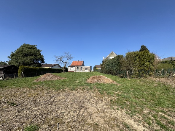 Blick vom hinteren Grundstück