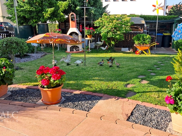 ... für lange Sommerabende