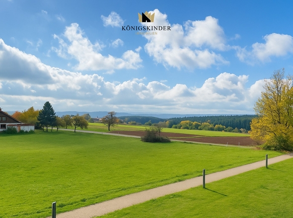 ...zu dieser Aussicht.