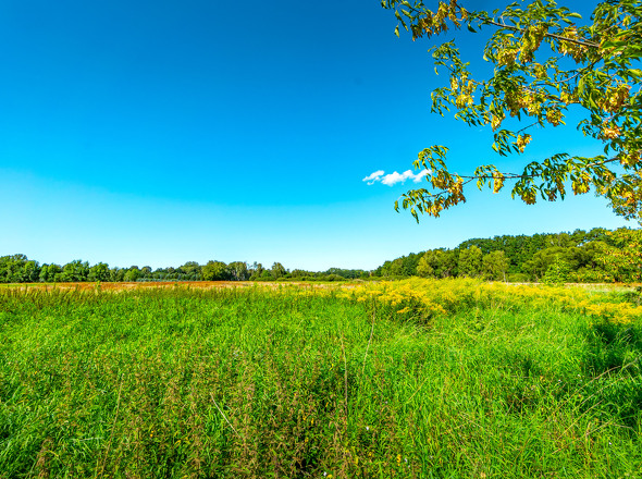 Wiesen auf der gegenüberliegenden Straßenseite