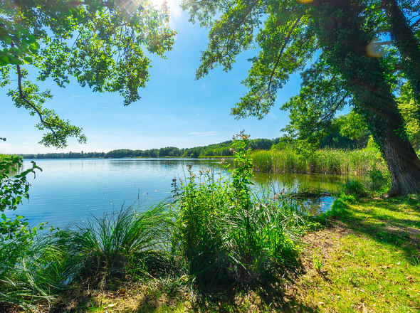 Mellensee fußläufig erreichbar