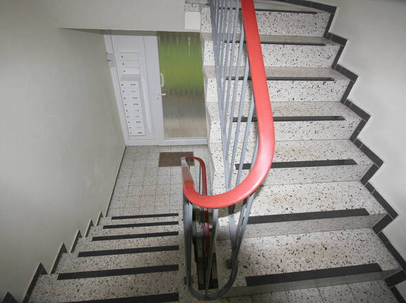 Fepflegter Flurbereich mit MFH-Eingangstür