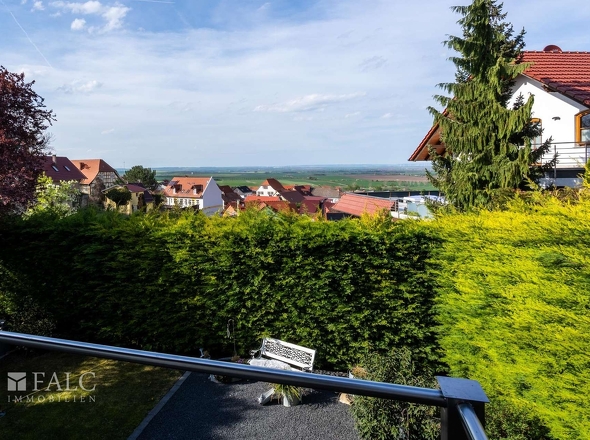 Fernblick von der Terasse 