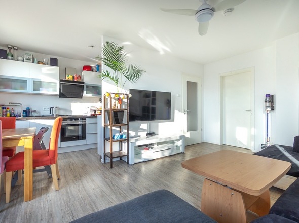 Wohn- und Küchenbereich mit Einbauküche