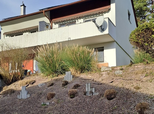 WhatsApp Image 2025-12-18 at 11.16.34 (1)