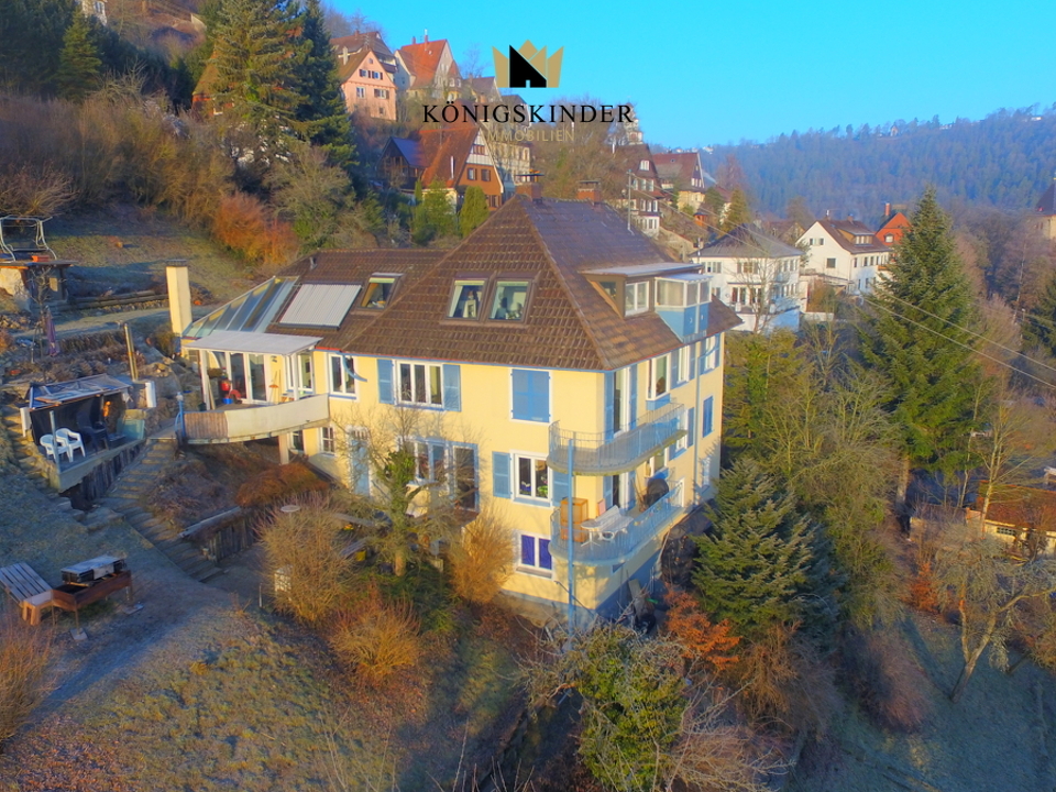 Ihr Adlerhorst trohnt herrschaftlich über dem Neckartal...