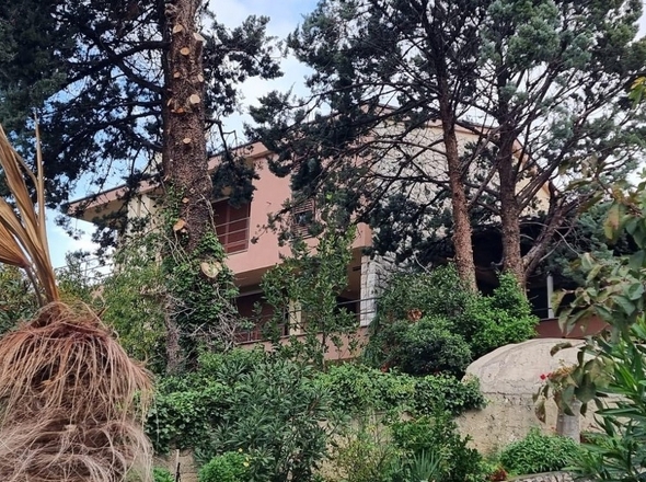 panorama-scouting-H2359-4