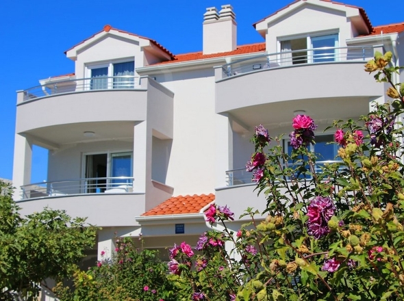 panorama-scouting-H2547-19