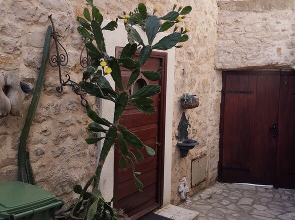 panorama-scouting-H3023-13