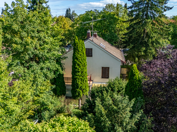 Drohnenaufnahme Altbestand