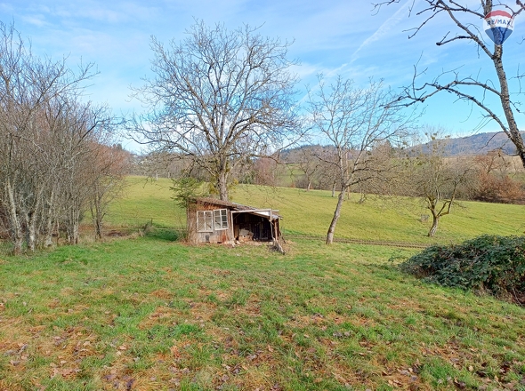 Garten mit Schuppen klein