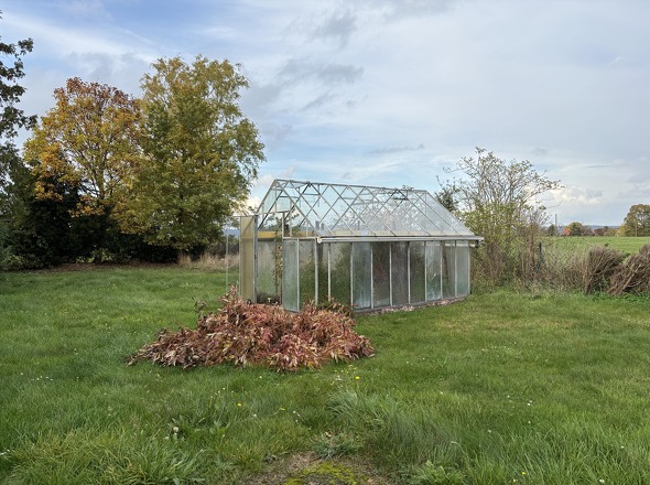 Gewächshaus