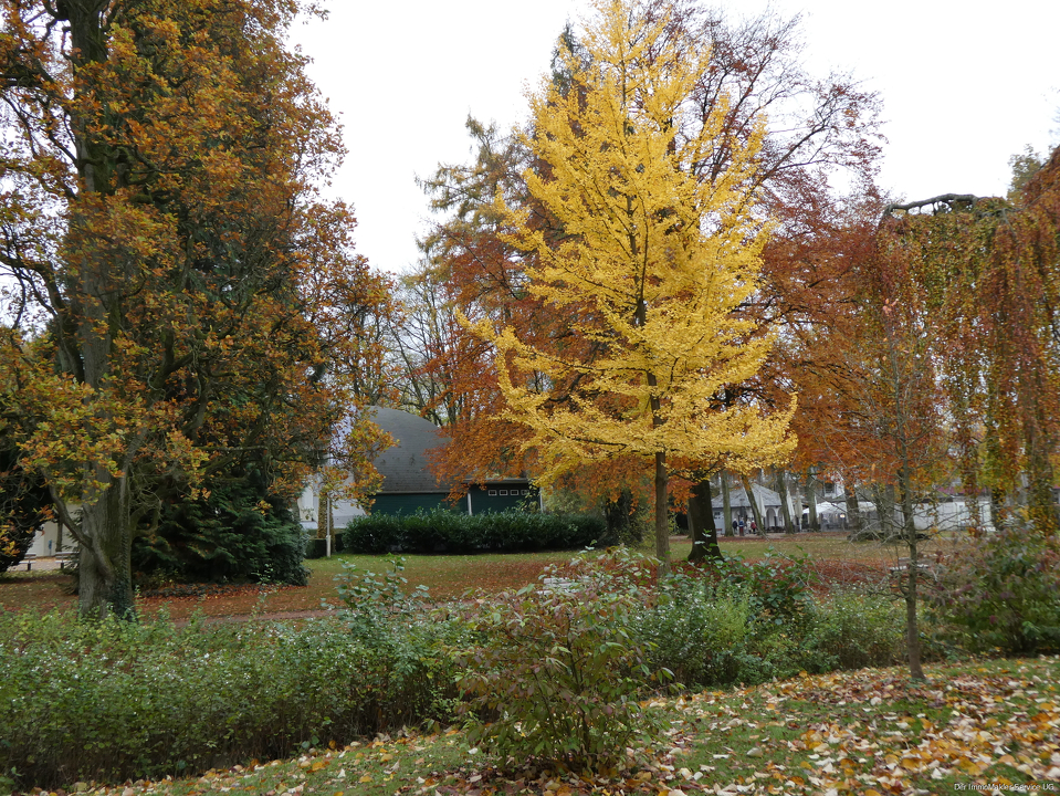 Kurpark - Herbstimpressionen