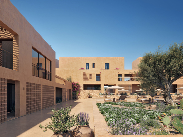 Olive Courtyard Collection