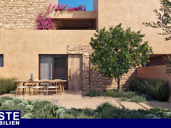 Olive Courtyard Collection