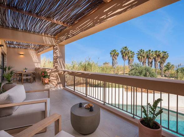 Olive Courtyard Collection